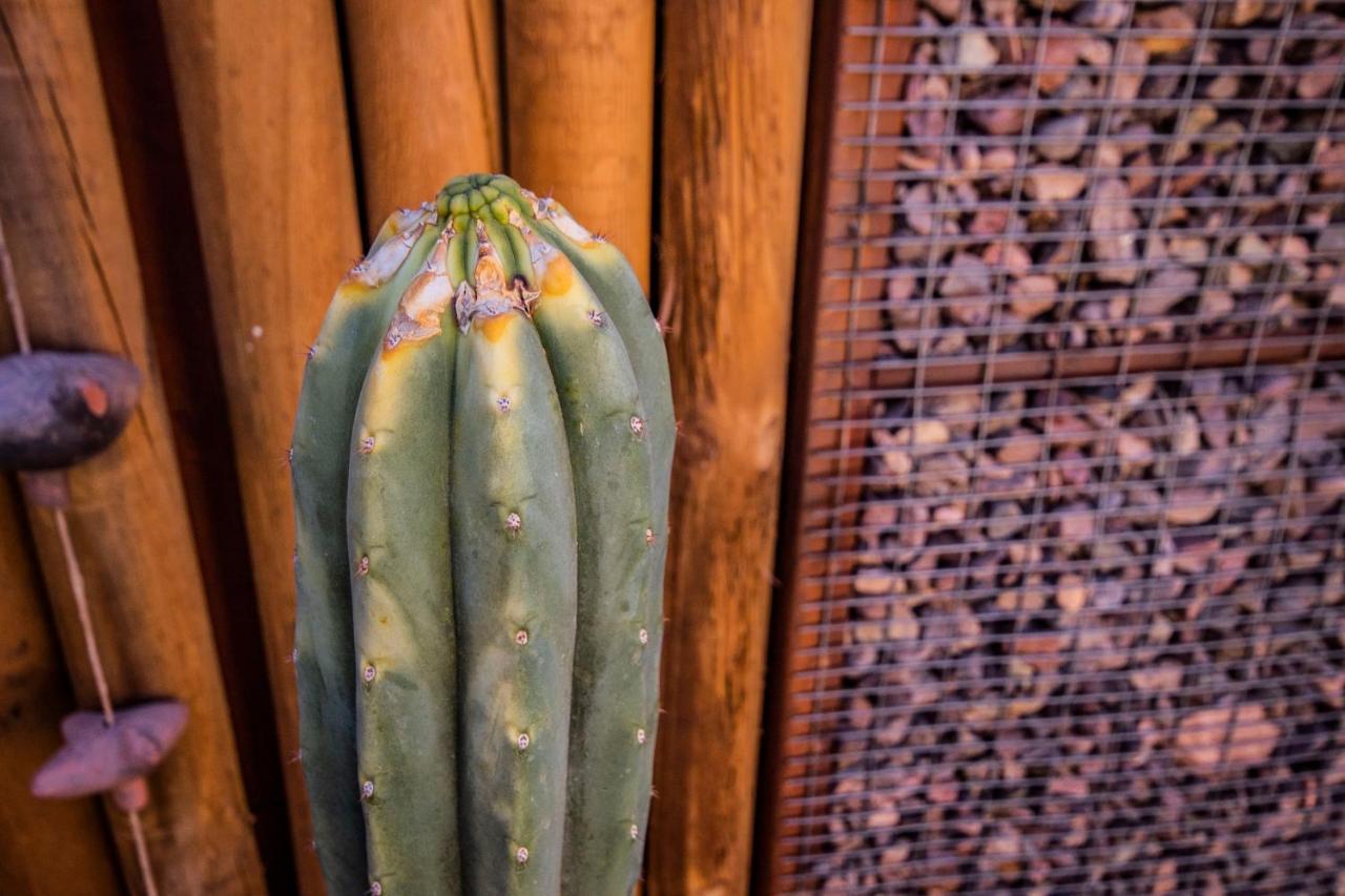 Hotel Casa Algarrobo San Pedro de Atacama Dış mekan fotoğraf